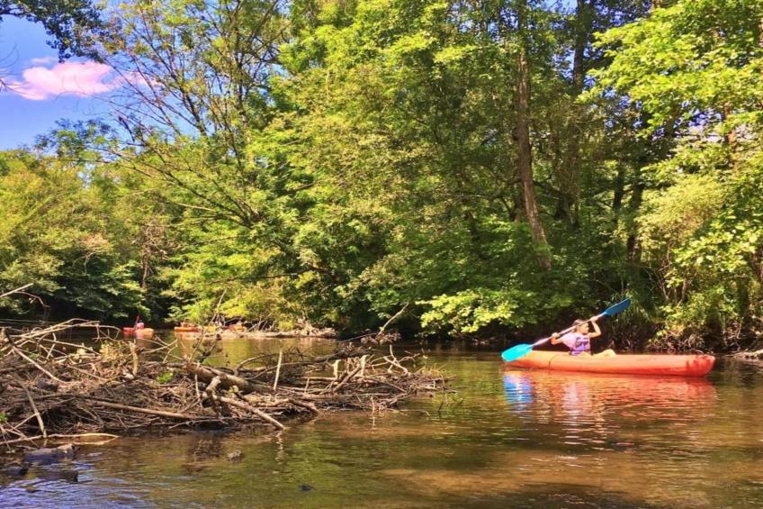 La Haute Prèze 34 près de la Dordogne - foto 35