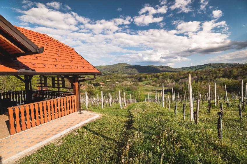 Golden Horizon Holiday Home with Terrace and Garden - One Bedroom Holiday Home with Terrace and Garden - foto 43