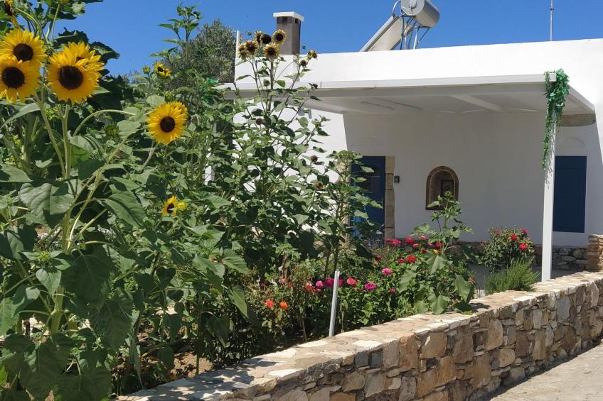 "Großvaters Haus", ein 150 Jahre altes Steinhaus - foto 29