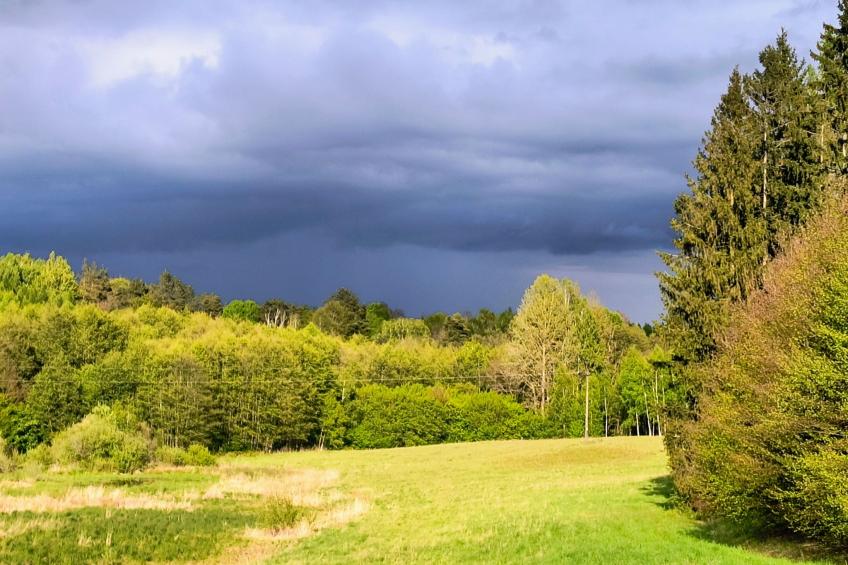 Vogelecke - abseits des Trubels und der Hektik - foto 18