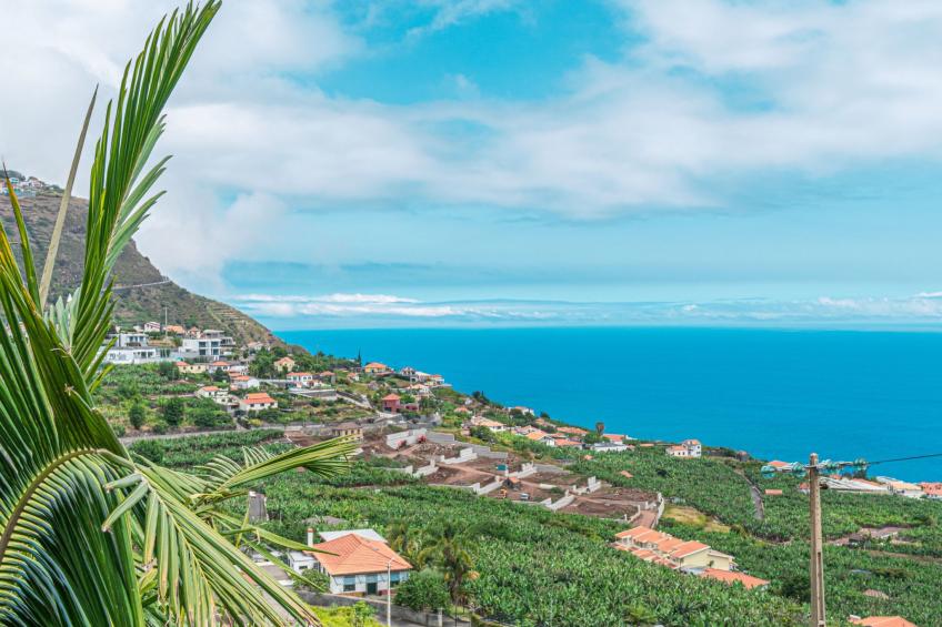 Villa in Arco da Calheta - foto 14