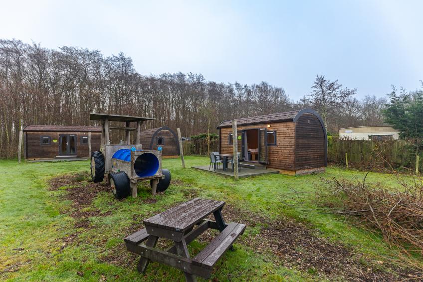 Duinhoeve Duinlodges 4pers (huisdiervriendelijk) - foto 3