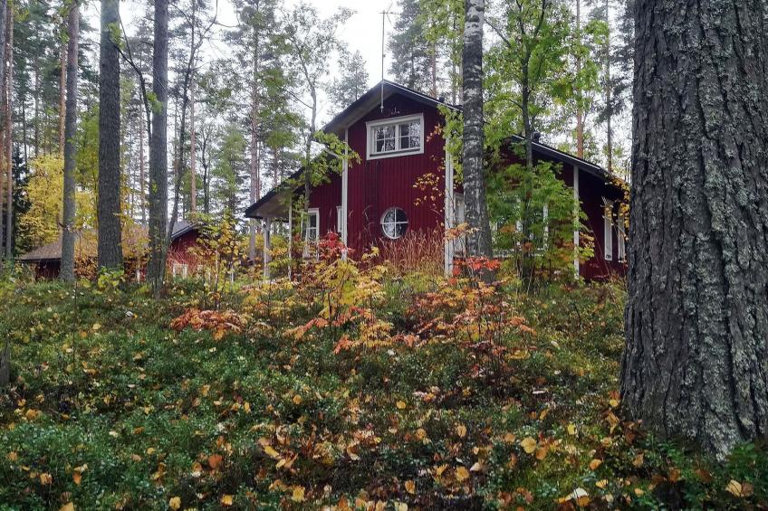 Rääkkylä, villa raita - foto 26