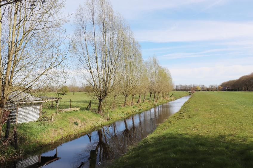 Buitenvreugde - foto 19