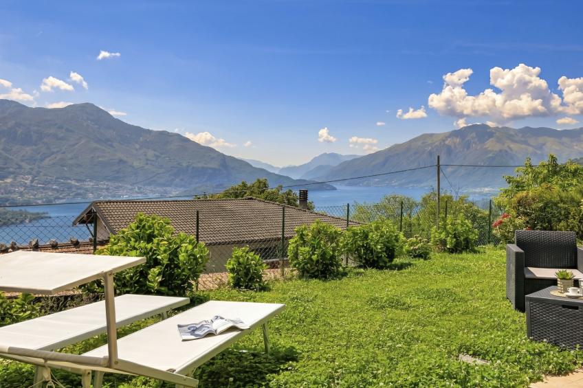 Libellula - foto 7