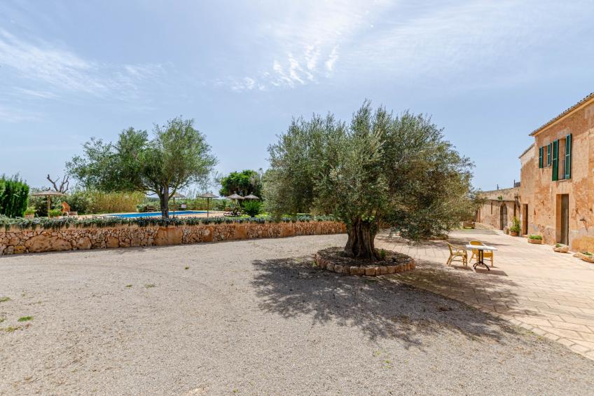YourHouse Son Sala Agroturismo Vina Vella - doble - foto 40