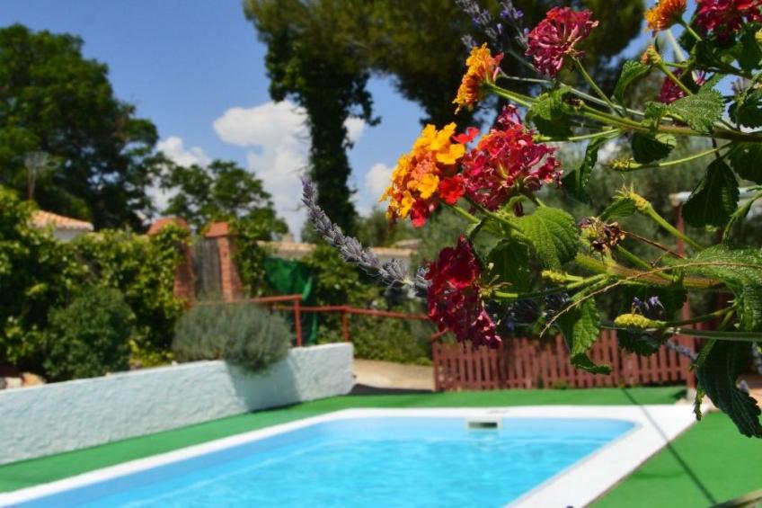 Finca "Casa Vieja" mit Bergblick - foto 43