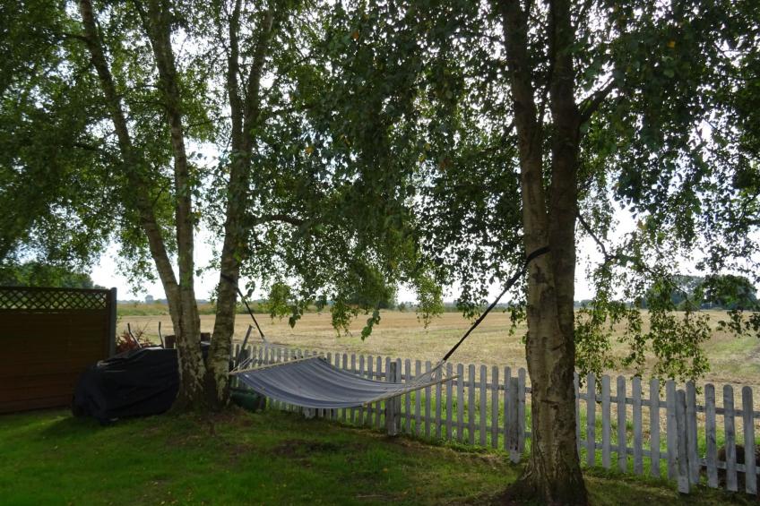 Huus ant Koornfeld - foto 7