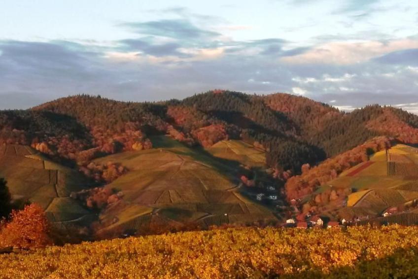 Traumwohnung - foto 39