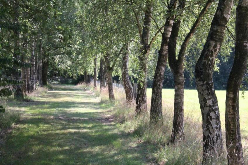 Vakantiepark de Tabaksschuur 2 - foto 23