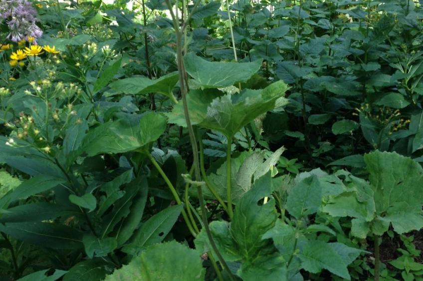 Chalet "Rennweg 114" mit Sauna - foto 86