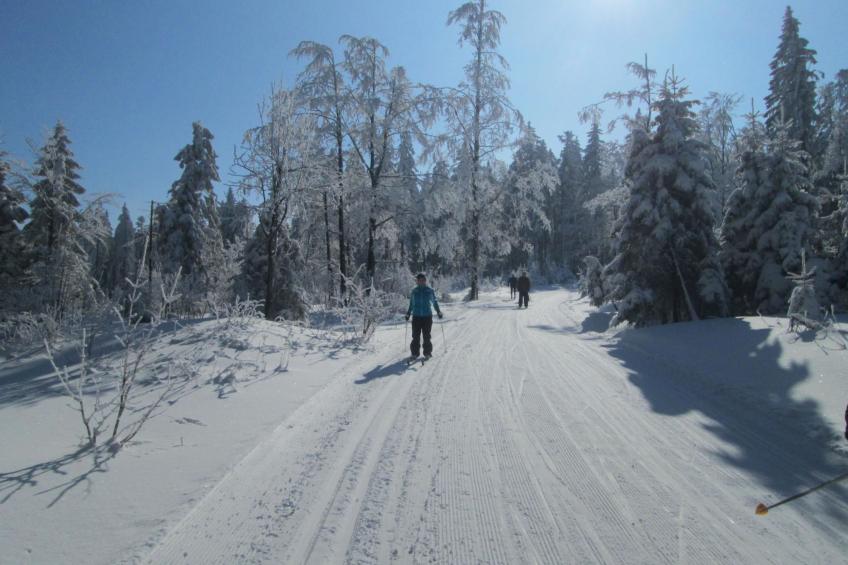 Seitz 1 in Bayerisch Eisenstein - foto 23