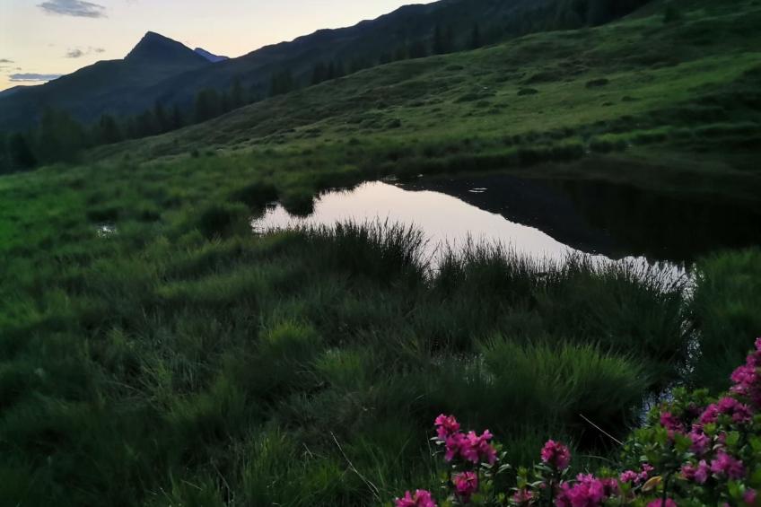 Waldpension Ranner - foto 21