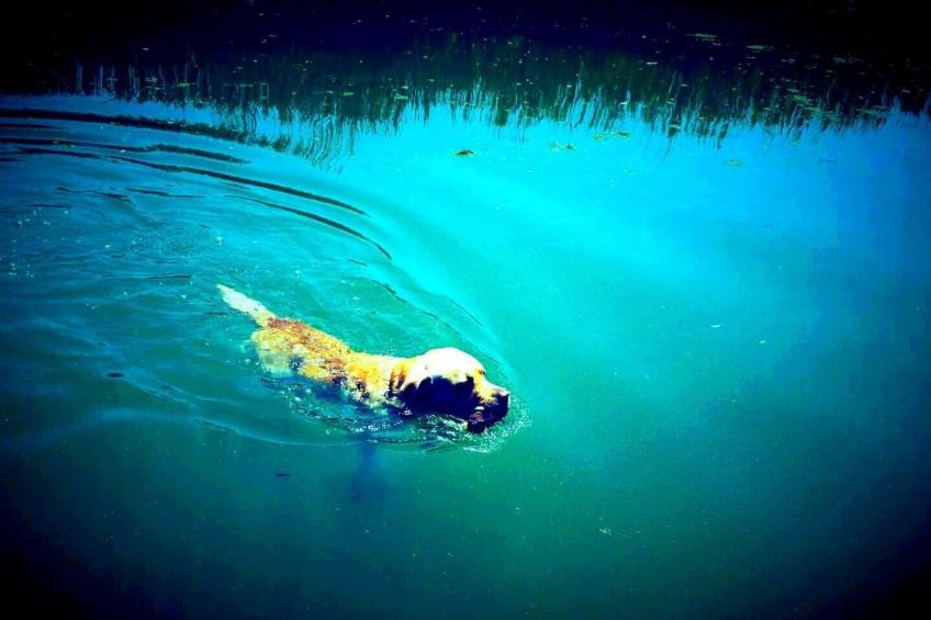 Am Fluss gelegenes Haus mit Galerieschlafplätzen - foto 16