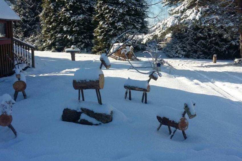 Charmantes Ferienhaus mit gemeinsamem Grill - foto 26