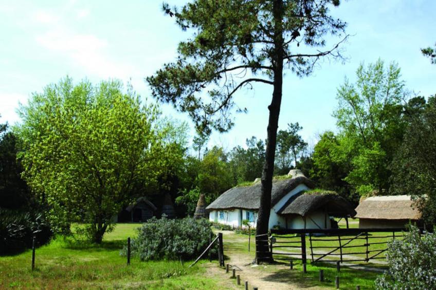 Mobil Home - Bungalow - Cottage à Saint-Hilaire-de-Riez - foto 16