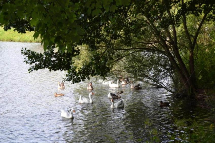 Les Doyards 5 - foto 29