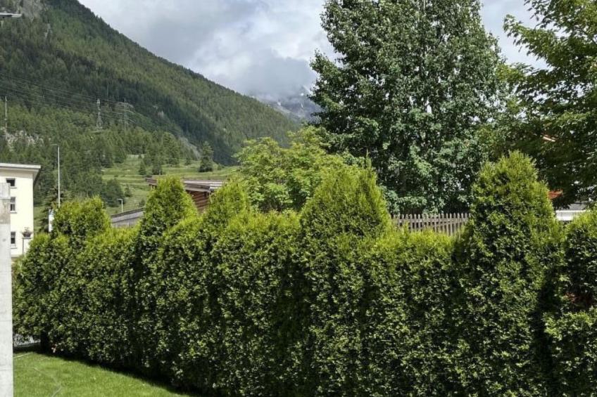 Chasa Ernst - foto 14