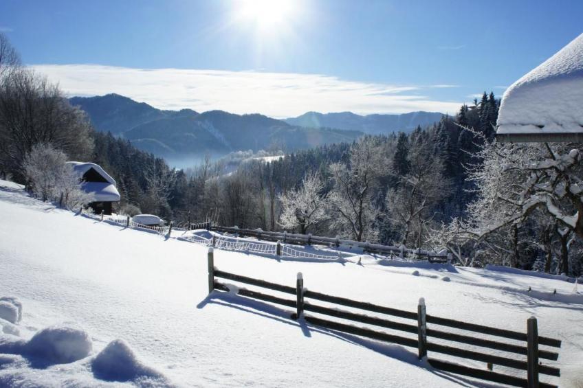 FEWO Gartenblick - foto 21