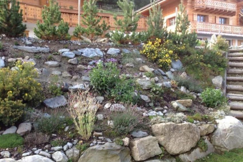 Blue Merle - foto 38