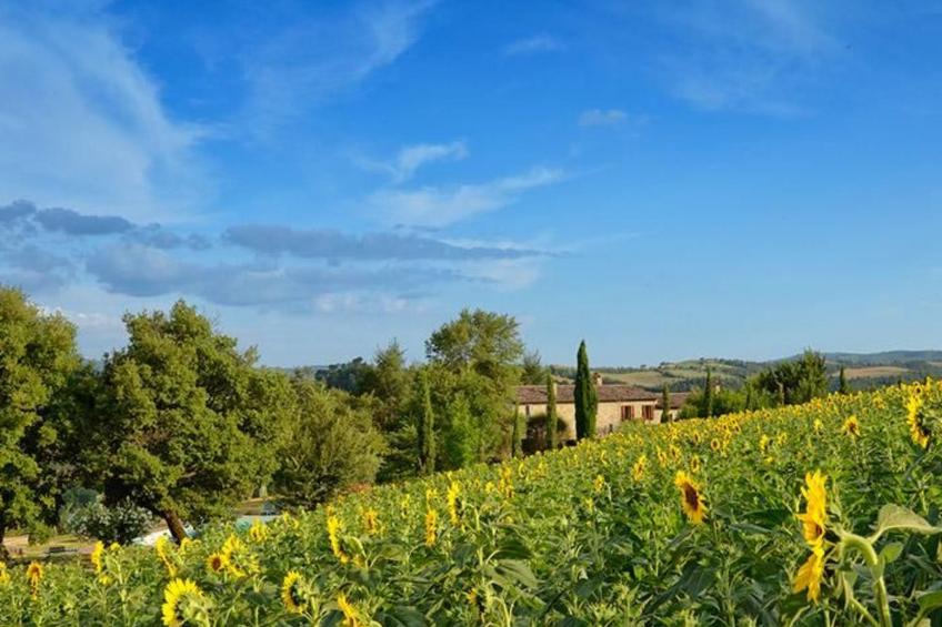 Das Walnusshaus - foto 55