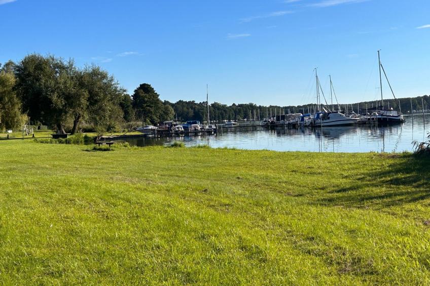 am Schwielochsee - foto 10