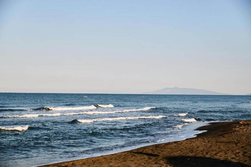 La Lavanda - foto 36