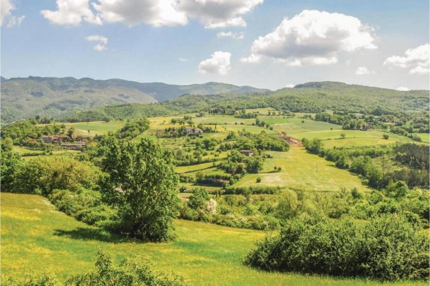 Podere Pulicciano Cantina - foto 38