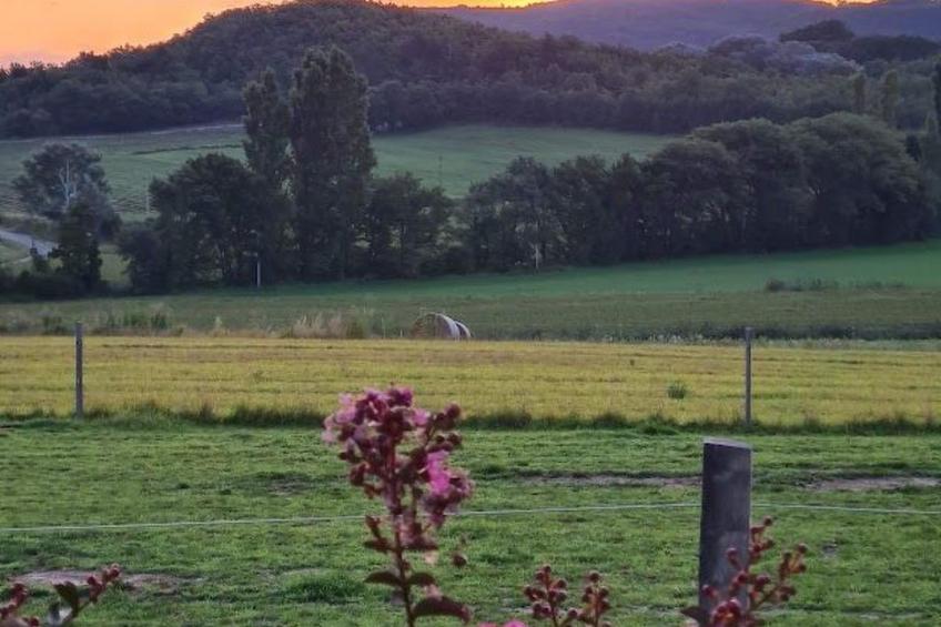 Charmante Ferienwohnung La Martinelle - foto 25