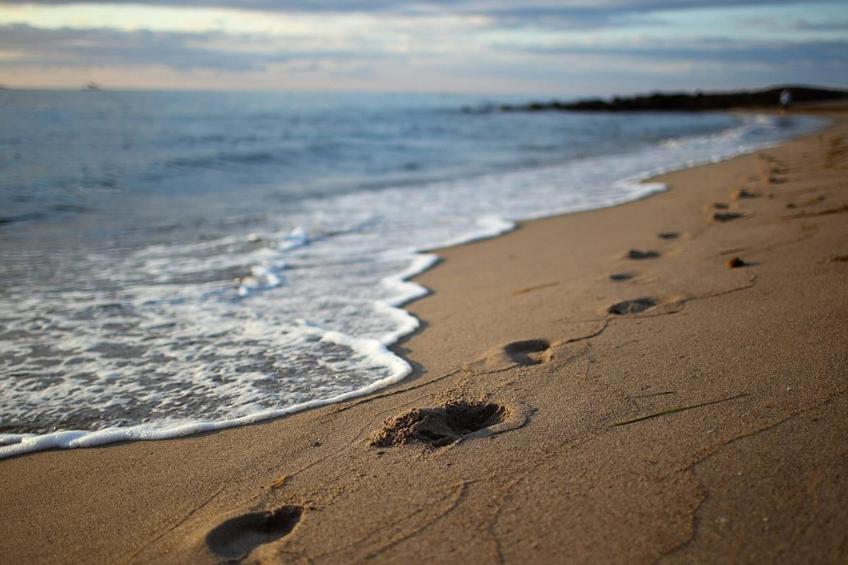 Seepark Sellin Ferienwohnungen, Sellin - Typ B - foto 40