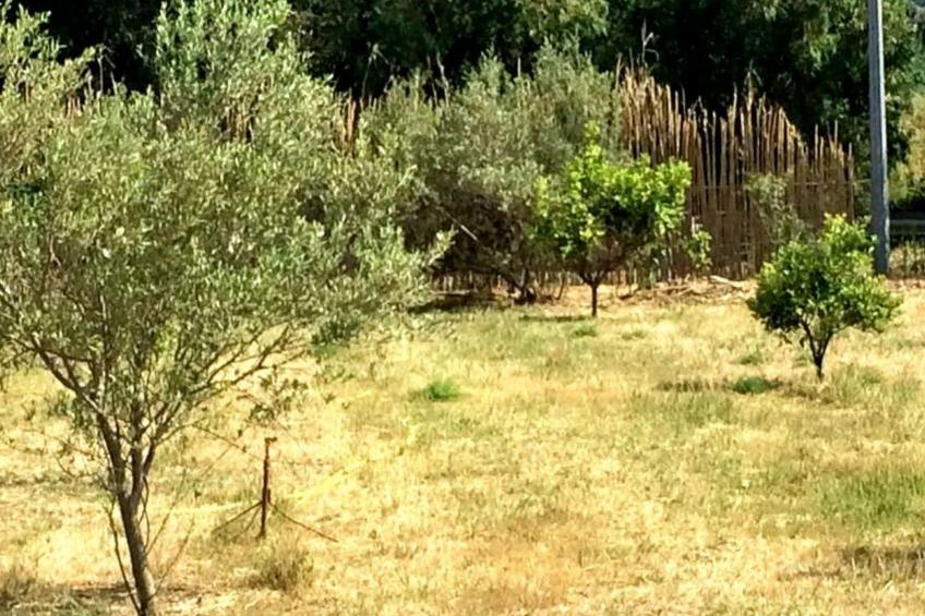 Modernes Ferien-Landhaus - foto 7