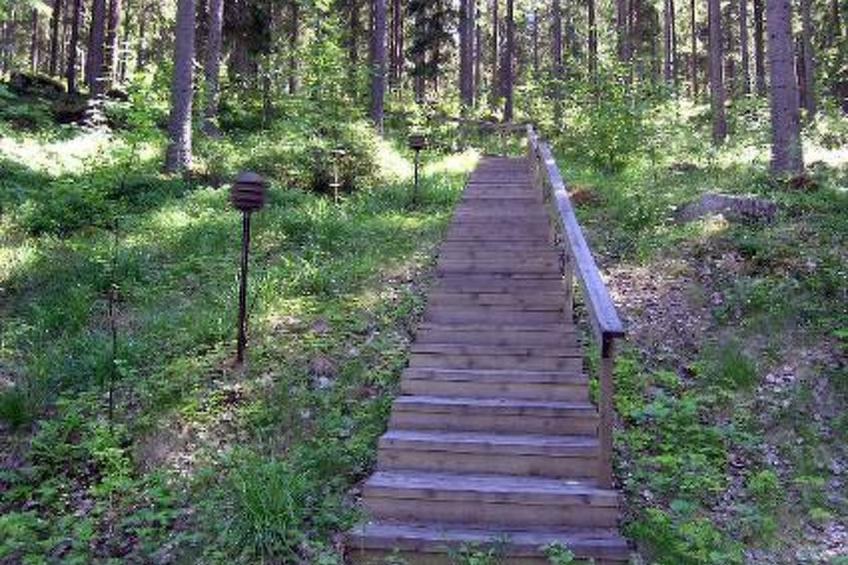 Lomakuikka - foto 43