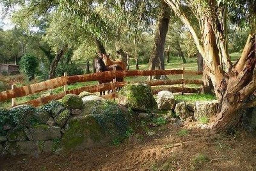 Wunderschönes Ferienhaus mit eigener Terrasse - foto 4