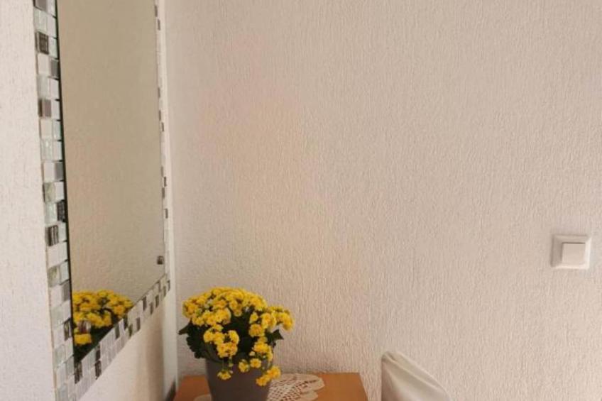 Villa Ivan apartment with balcony and sea view A1