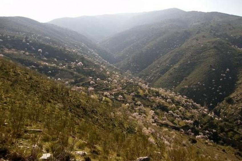 Tenguerengue - foto 14