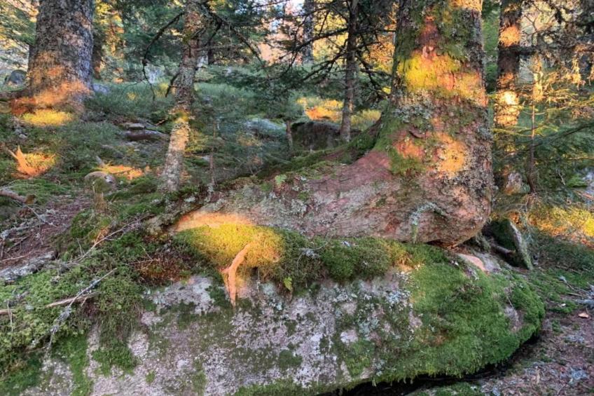 Goutte-Claire - foto 26