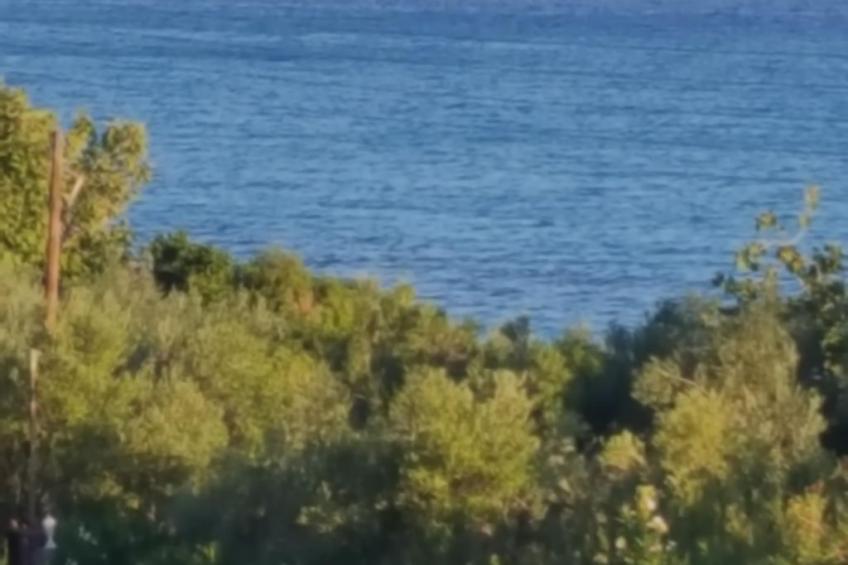 Sun Residence 8 - foto 39