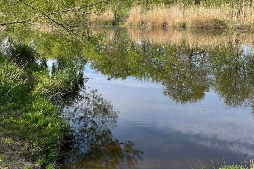 Datscha im Grünen - foto 32