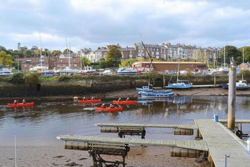 Oystercatcher - foto 23