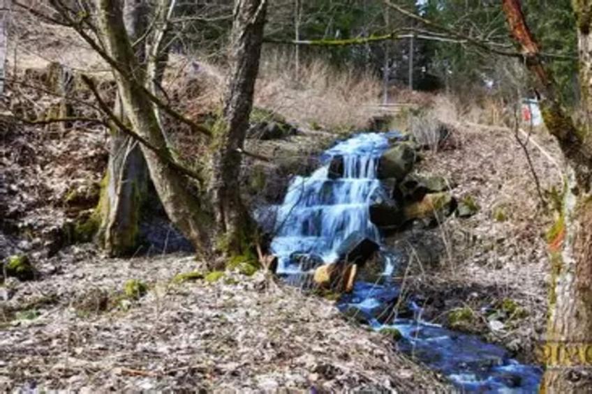 Vakantiehuis, Wieda - foto 32