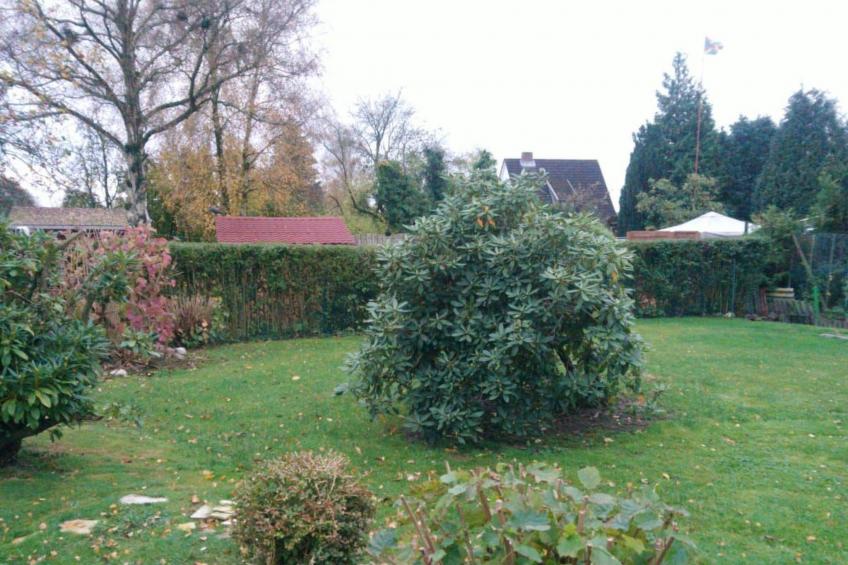 Erholung pur: Nordsee-Urlaub mit Hund - foto 38