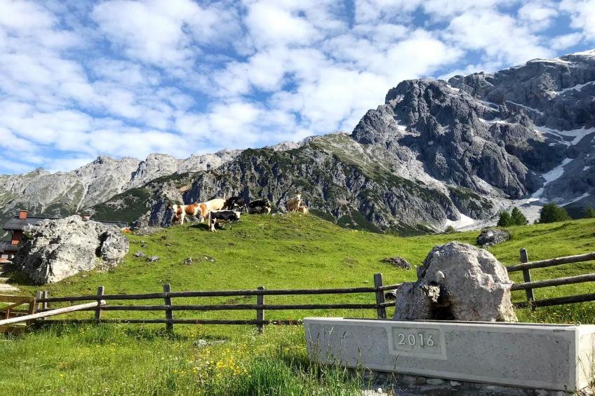 Chalet Salzburg, Dienten|Maisonette-Wohnung - foto 8