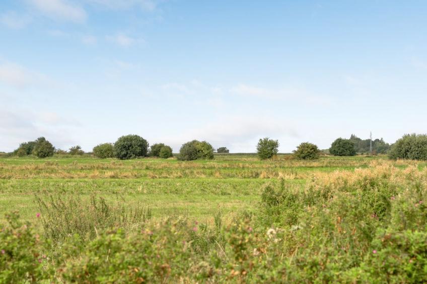"Ewelina" - 15km from the sea in Western Jutland - foto 19