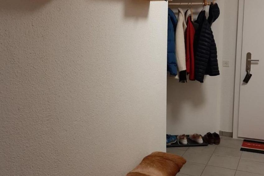 Wintersport Flims/Laax, Obersaxen, Brigels - foto 15