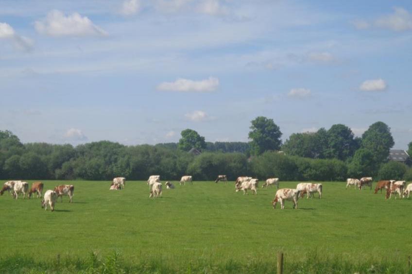 Spijk vakantiehuis - foto 12