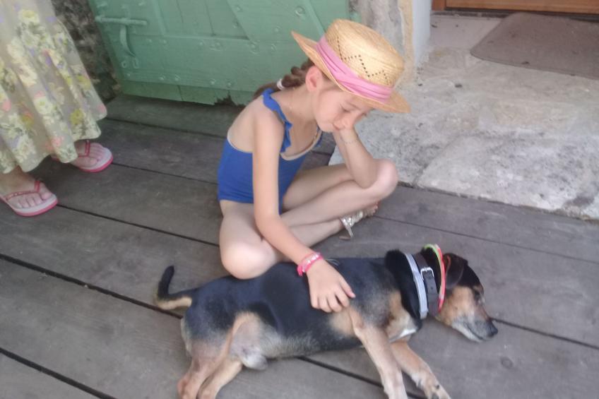 Haus freistehend Sonne Bett 160cm Patio billig - foto 14