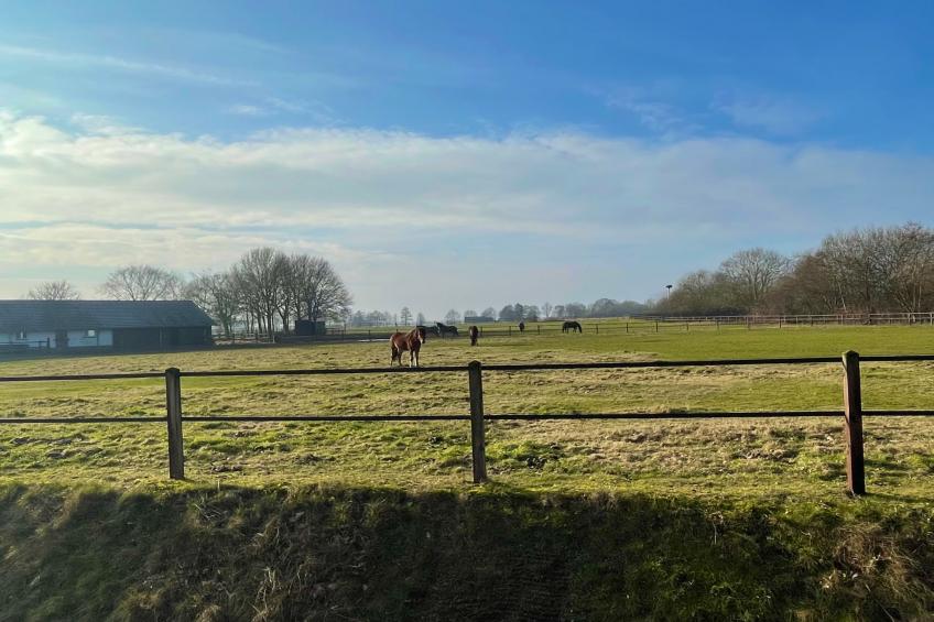 Salland Hideaway - 4 persons - foto 36