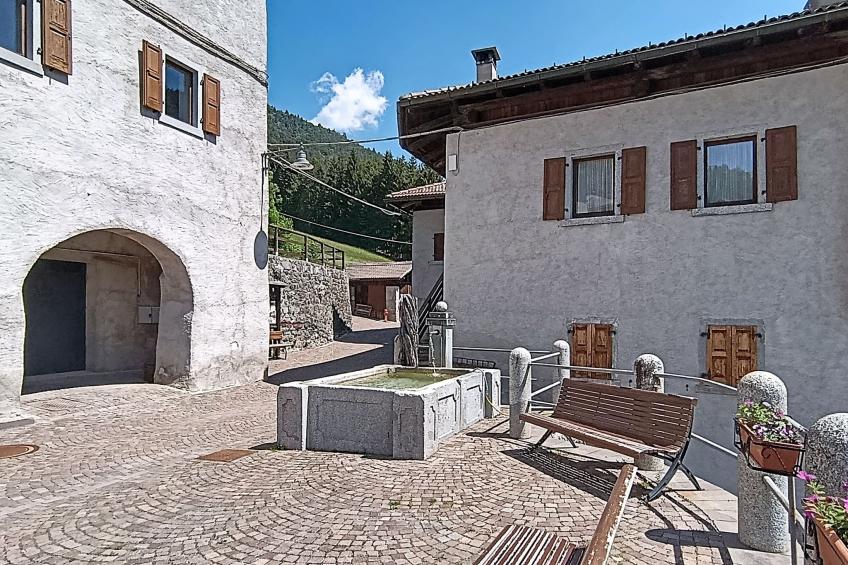 Festér - foto 53