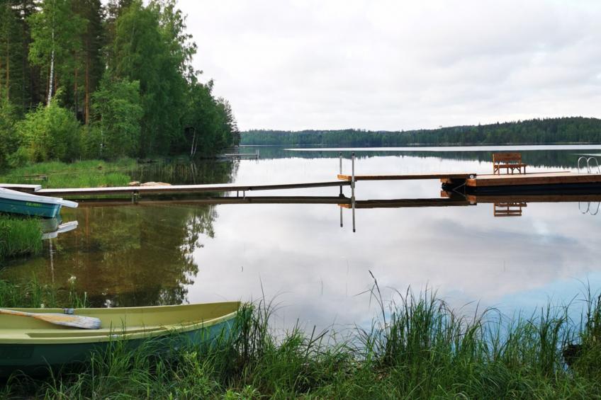 Hämyrinne - foto 8