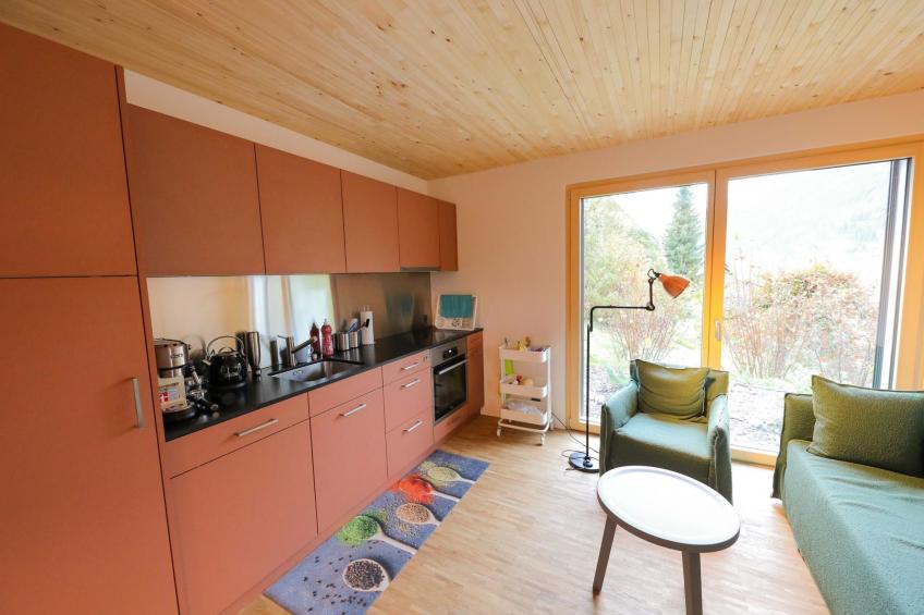 Rinderberg Sockelgeschoss Nordost - foto 8